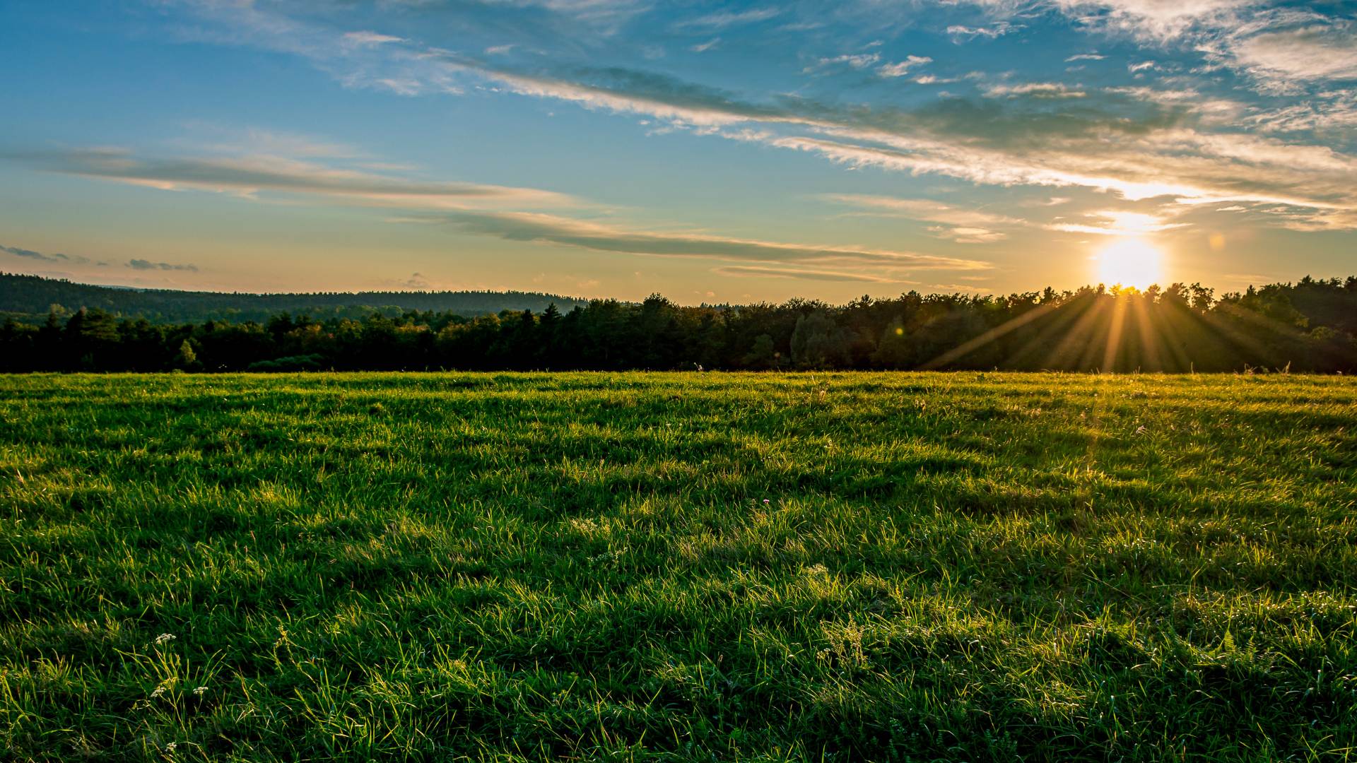 Campagne